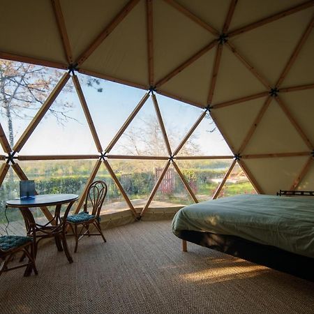Вилла Dome Avec Vue Sur Loire Proche De Chambord Saint-Dye-sur-Loire Экстерьер фото